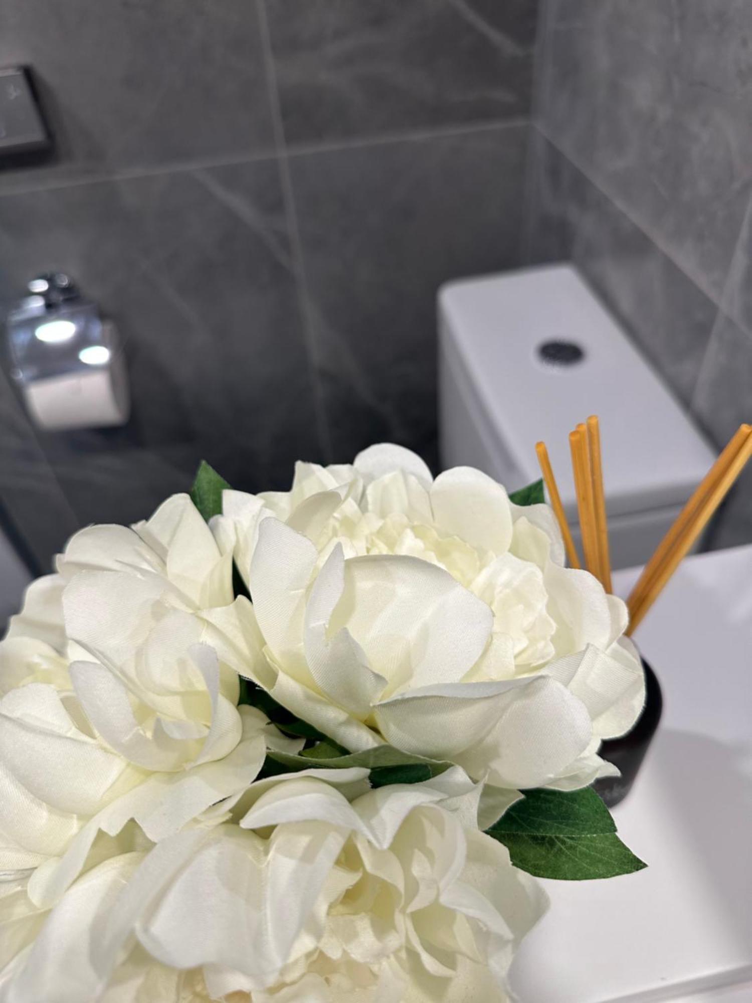 Private 1 Bed Accom With Bathroom In A 3 Bed Apartment - Melb Cbd, Regency Towers - Free Parking, Wifi And Pool 墨尔本 外观 照片